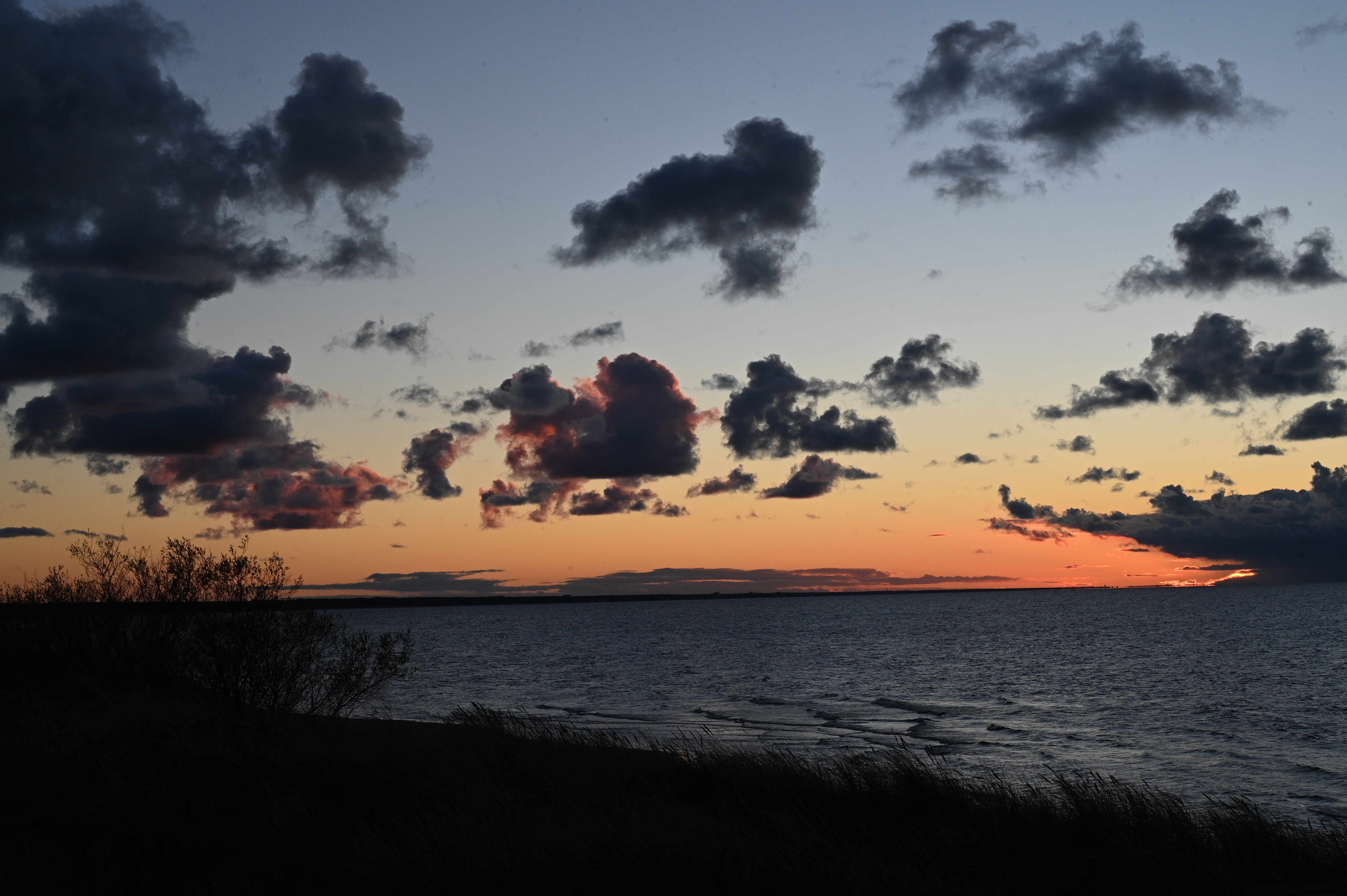 2025/10/18 - walk/DSC_0526.JPG